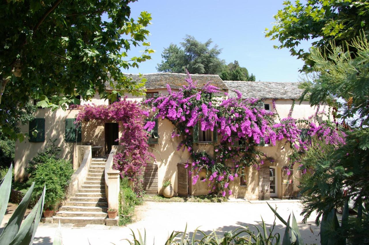 Domaine De Valle Sorbo-Ocagnano Luaran gambar